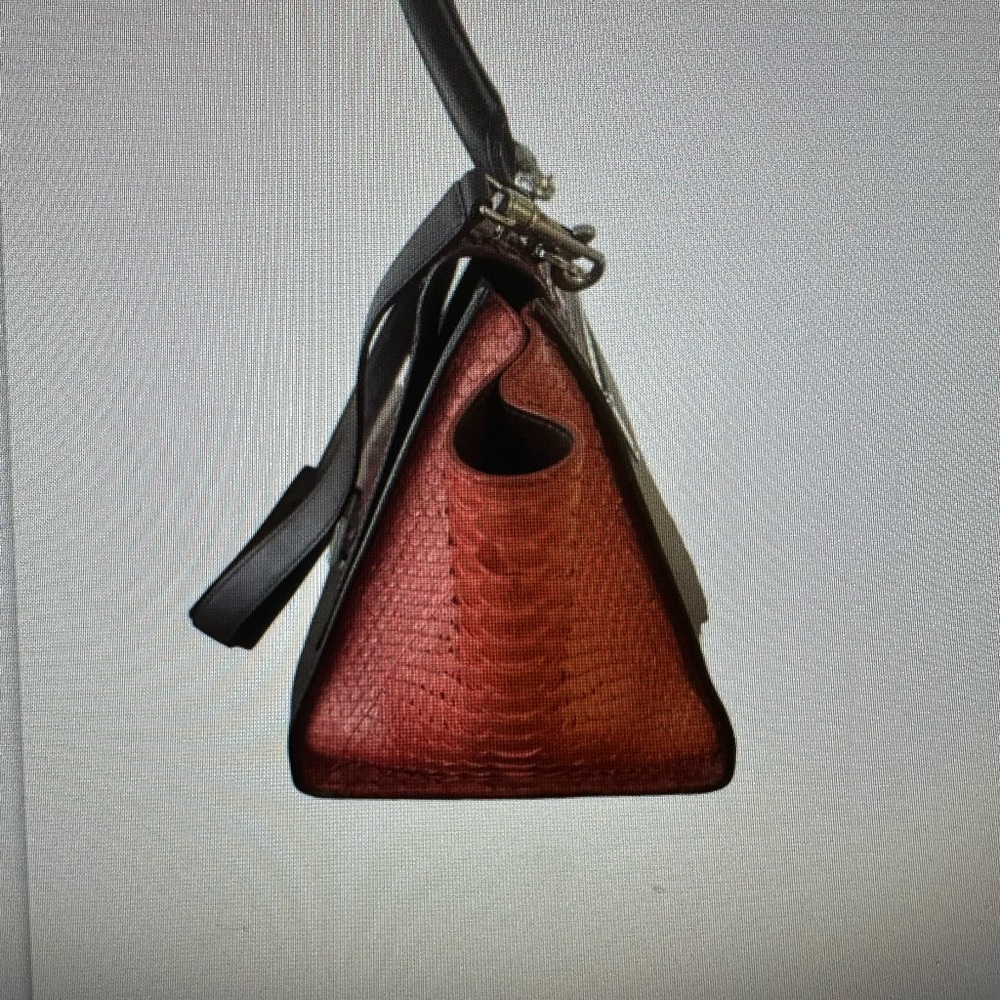 Celine Python Trapeze in Red, Burgundy, Brown, Like New - Picture 3 of 11